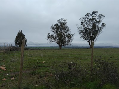 Photos of El Secreto
