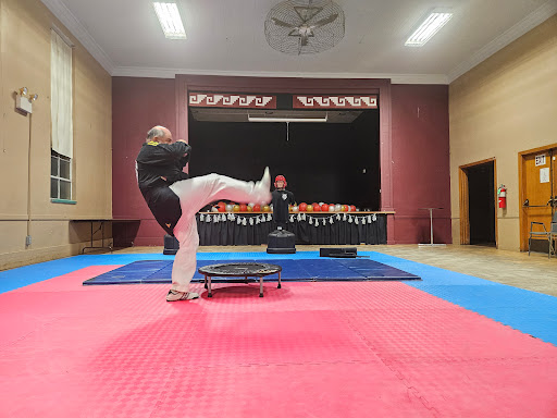Lions Black Belt Academy Taekwondo - Thumbnail