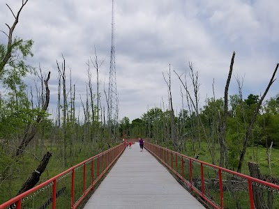 Murfree Spring Wetlands