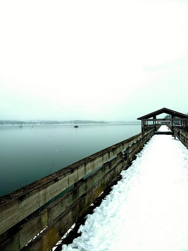 Harbour Wood Park Gallery - Canada