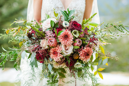 Alpine Blooms - Visual