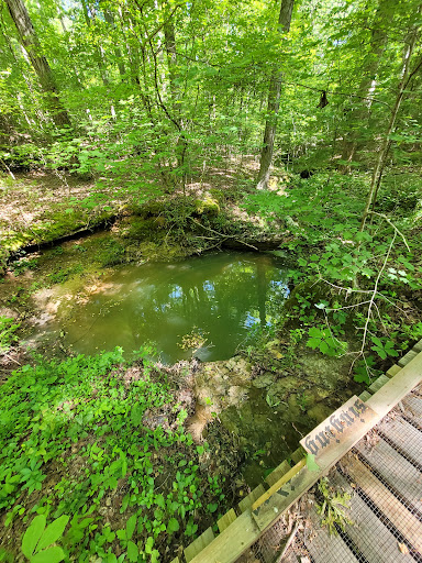 Lynch's Woods Park Gallery - United States