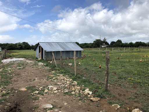 Photo de les volailles de Lavausseau