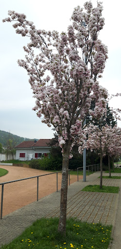 Hallenbad Maulburg - Thumbnail
