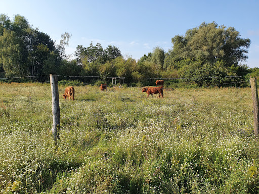 Gehrensee