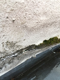 Photo n°18 de DEBOSSCHER COUVERTURE à Colombes (Couvreur)