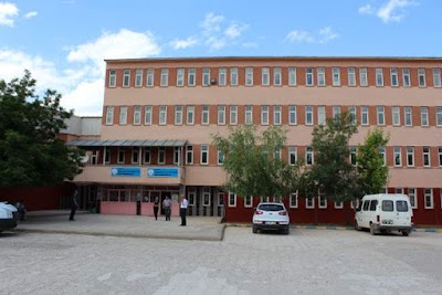 Bingol Anadolu Imam Hatip High School