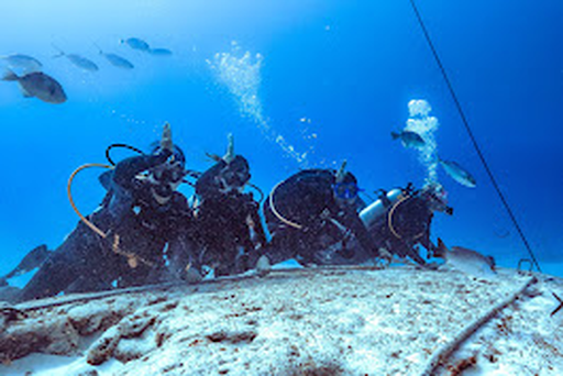 The Dive Machine Diving Playa Del Carmen