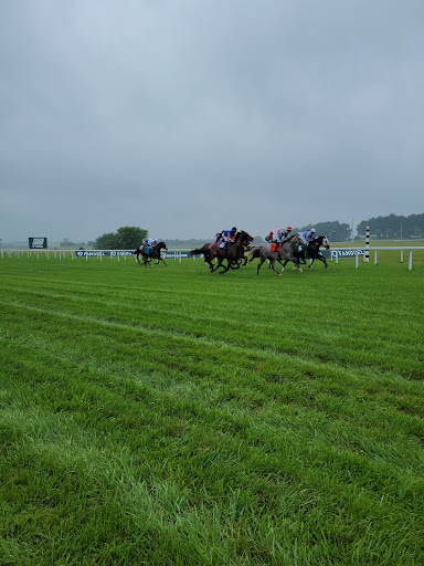The Mint Gaming Hall Kentucky Downs Gallery - United States