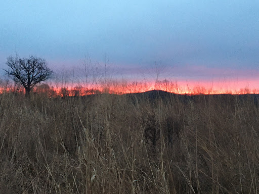 Alpha Grasslands Preserve - Thumbnail