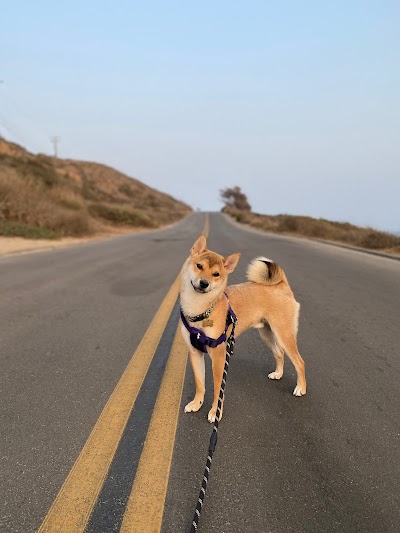 Art District Dog Park