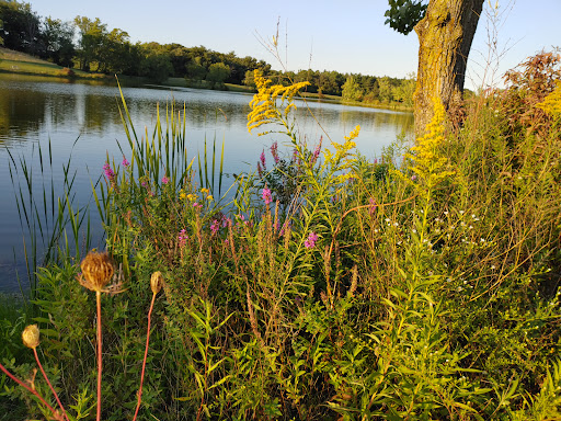 Turtlehead Lake - Visual