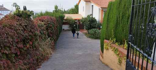 Centro de Educación Infantil Castalia - Thumbnail