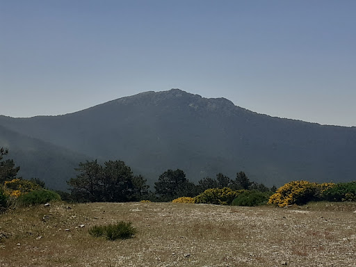 Alto del casetón - Thumbnail