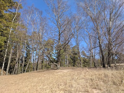 Photos of The red cottage