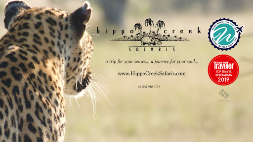 Hippo Creek Safaris