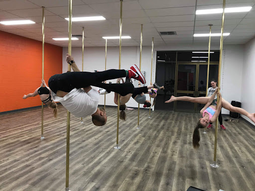 Phoenix Studio Adelaide - Thumbnail