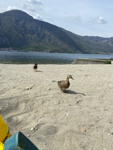 Asilo Infantile di Mandello - Thumbnail