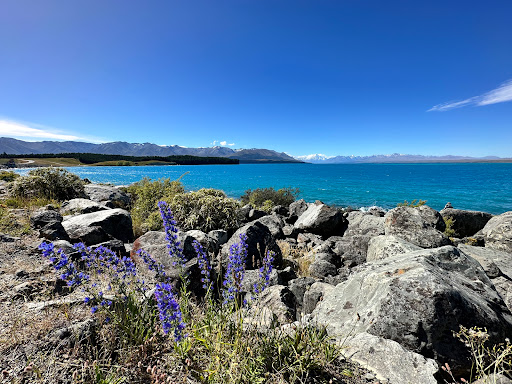 Lake Pukaki car park