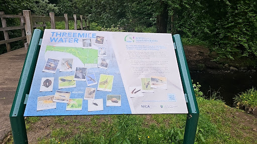 Three Mile Water pitches - Thumbnail
