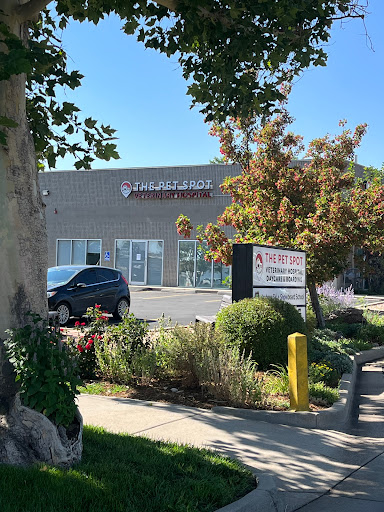 The Pet Spot Veterinary Hospital Gallery - United States