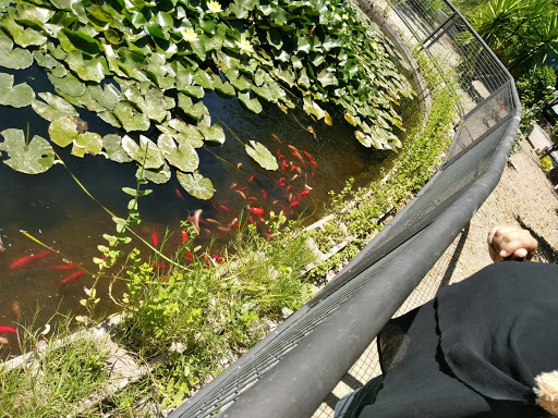 Emigrante Park - Visual