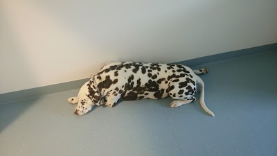 Photos of Himmelev Dyreklinik