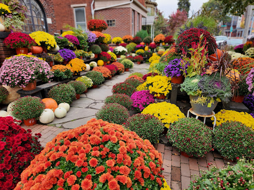 Johnny B's Flowers - Thumbnail