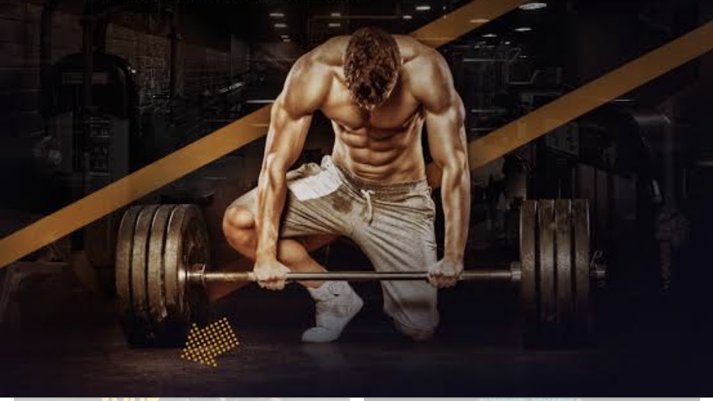 Royal Gym By Tandon S Top 10 Gyms In Ludhiana Best Gym For Girl S