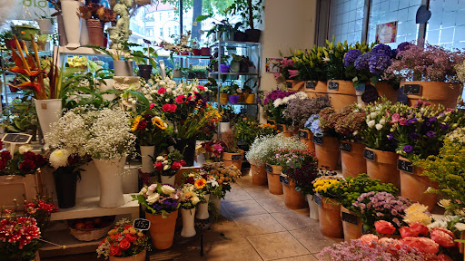 Gala Blumen - Thumbnail
