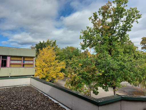 Carlo-Schmid-Gymnasium Tübingen - Thumbnail
