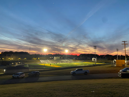 Fairview Stadium - Visual