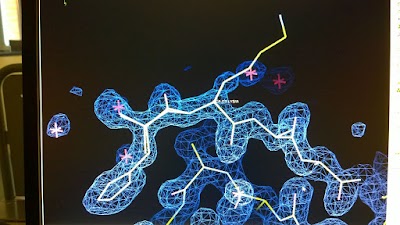 Università degli Studi del Piemonte Orientale "Amedeo Avogadro" - Dipartimento di Scienze del Farmaco