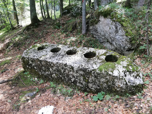 Pera d'la Borcia
