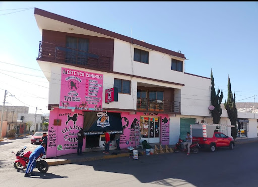 Estetica canina glamour salón canino"