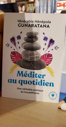 Librairie Quintessence - Visual