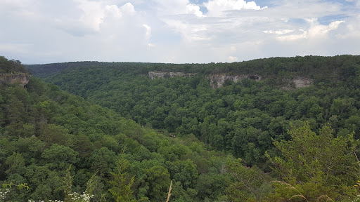 Wolf Creek Overlook - Thumbnail