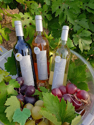 Photo n°6 de Les Vignerons de Mistral à Marignane (Cave à vins)