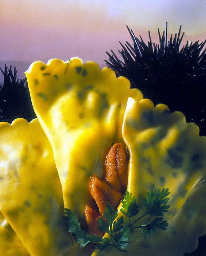 Filu di Pasta - Thumbnail