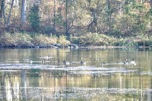 Gunners Branch Local Park - Thumbnail