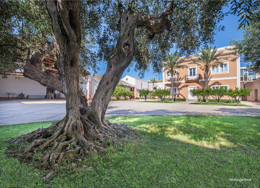 Donnafugata - Thumbnail
