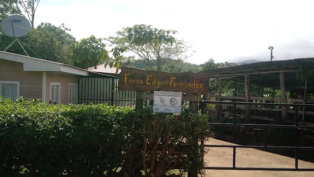 Finca Edgar Fernandez