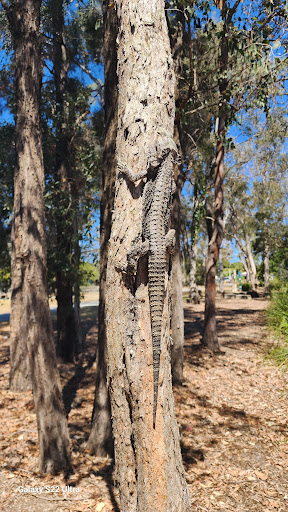 C.A. O’Sullivan Park Gallery - Australia