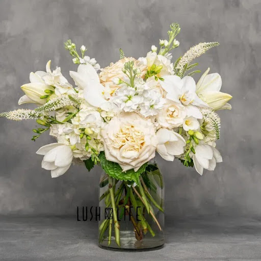 Lush Life Home & Garden Gallery - United States