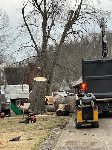 C&A Tree Service