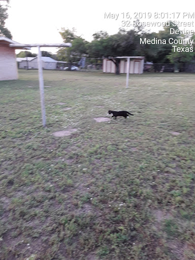 Devine Animal Control - Visual
