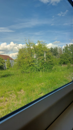 Straß-Moos - Visual