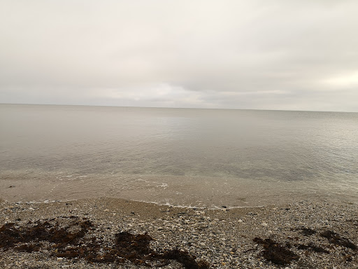Cows Beach - Visual