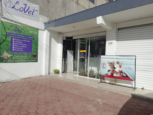 LoVet Lozada Veterinaria