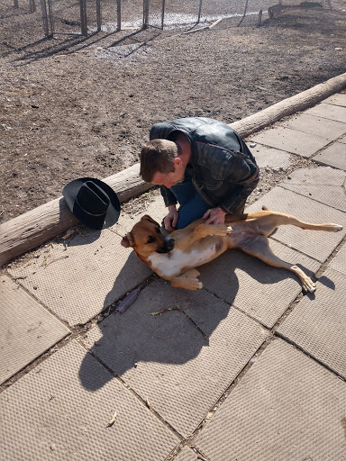 People For Pets - Thumbnail
